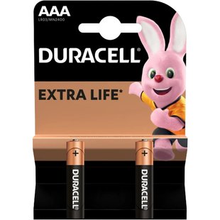 Батарейки Duracell AAA MN2400 LR03 - 2 шт.