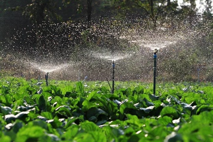Агроклевер: системы полива для теплиц, овощных полей, питомников растений, садов и ягодников